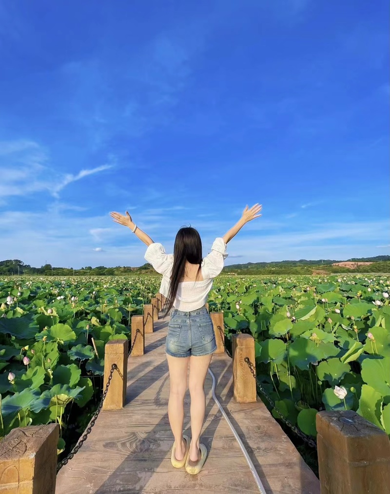 江西特产白莲鲜莲草莲