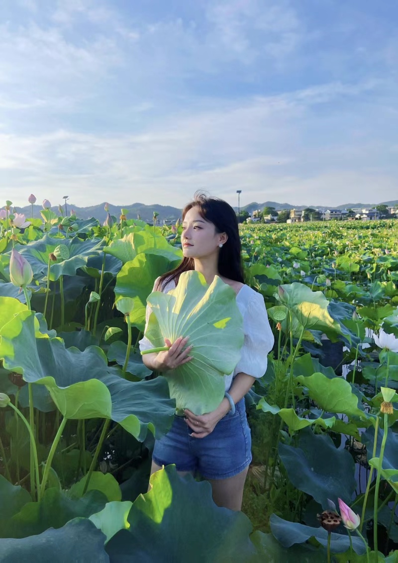 江西特产白莲鲜莲草莲