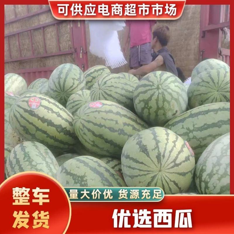 宁夏石头瓜产地直发大量供应欢迎各地采购商选购