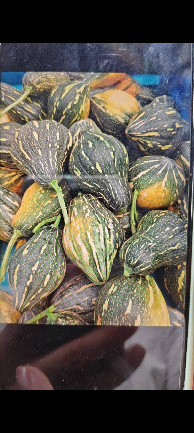 香芋南瓜