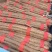 成都重庆151000白玉山药精品12000铁棍山药分货