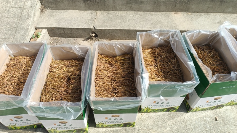 陕西一级熟直条自蒸自摆黄花菜，欢迎大家订购，