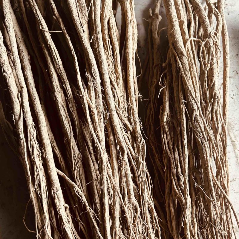 黄芪毛芪白条芪精品黄芪甘肃黄芪规格齐全量大从优，全年发货