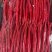 贵州鸡肠红红线椒