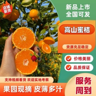 《火爆》叶桔湖北高山叶桔，皮薄多汁，无核无渣，口感纯正。