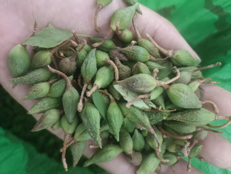 大量鲜货