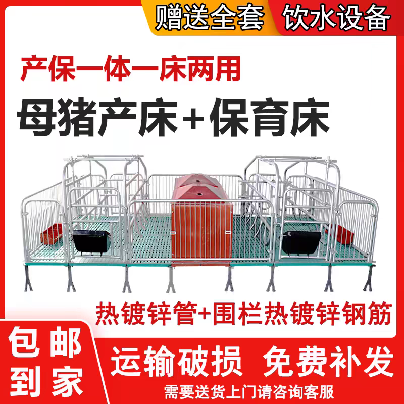 母猪产床双体单体国标2.5养猪设备定位栏保育床加厚2.2