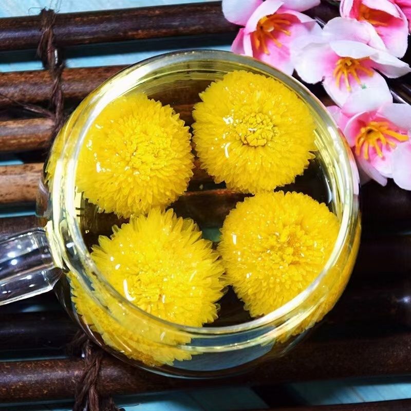 黄山贡菊，生长在深山里，海拔700米，不打药，生态有机肥