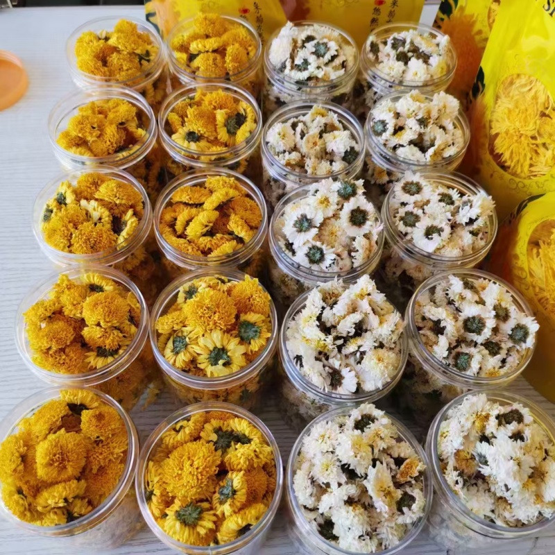 黄山贡菊，生长在深山里，海拔700米，不打药，生态有机肥