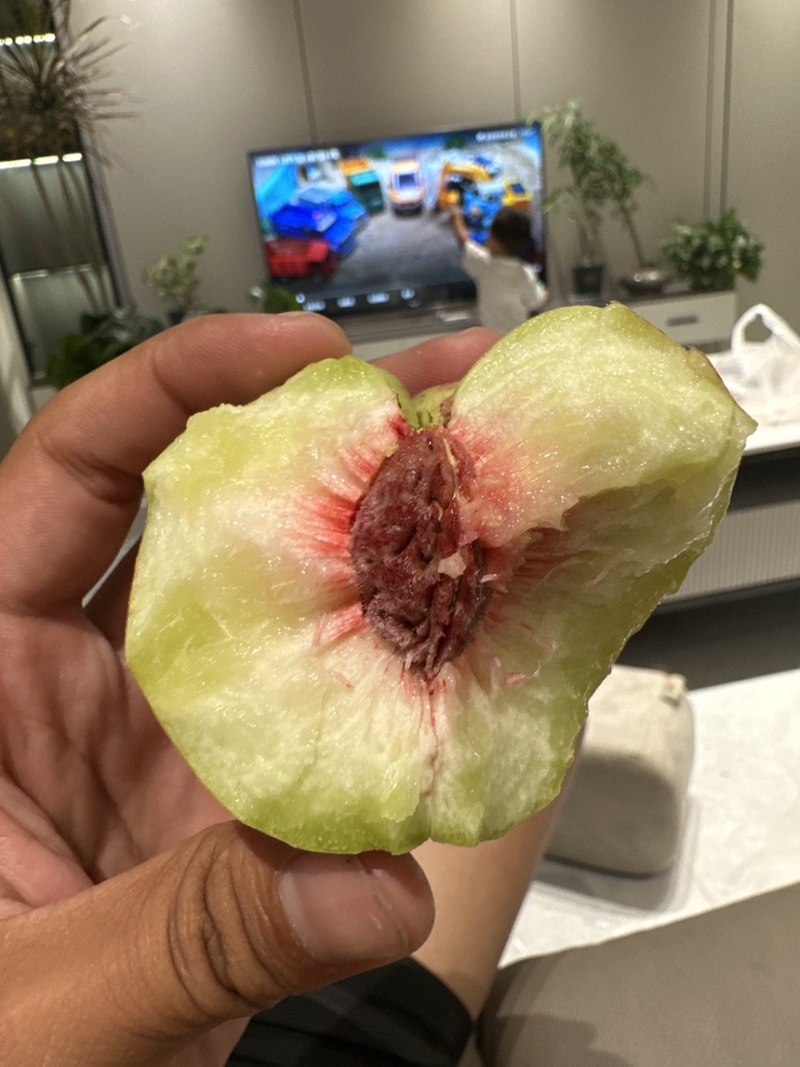 离核青州蜜桃半离核二老板冬雪蜜支持一件代发