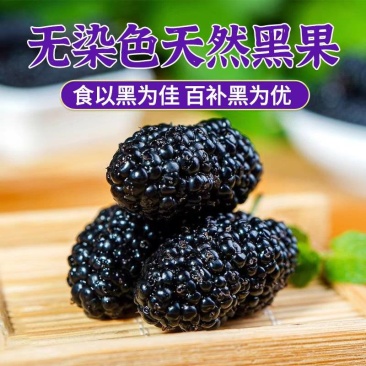 桑椹/桑椹/泡水/干吃/营养高/一手货源/一件也是批发价