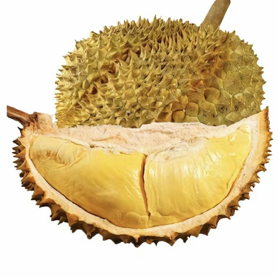 金枕头榴莲整体外观