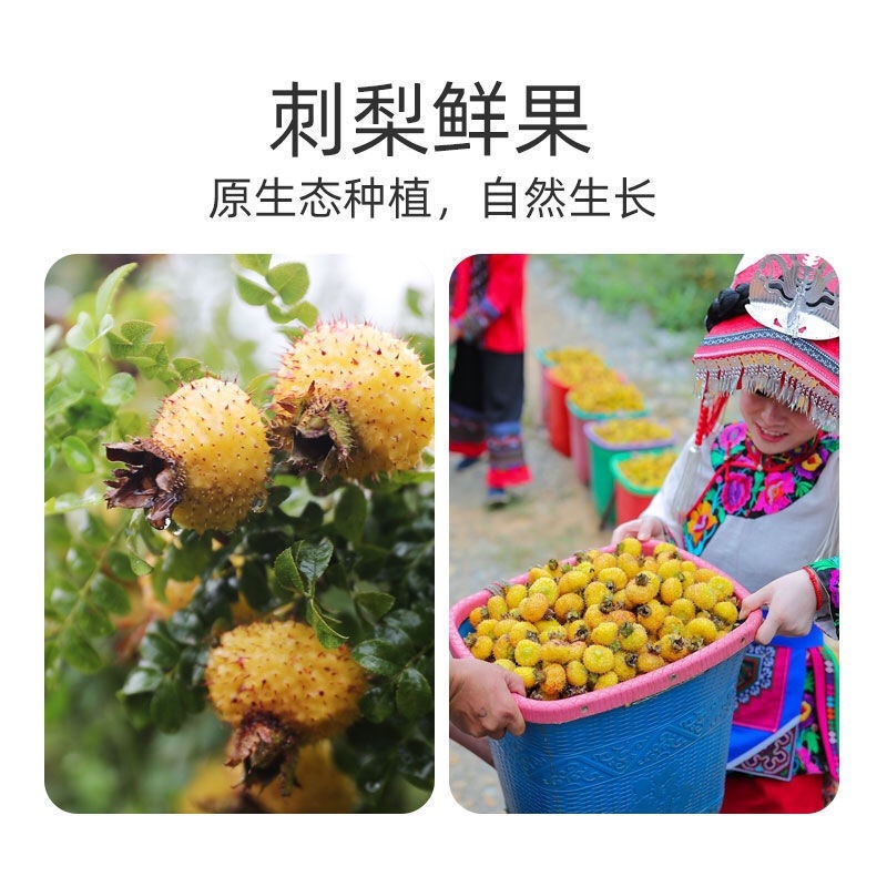 刺梨维C蜜刺梨原浆营养丰富厂家直发无中间商品质保证