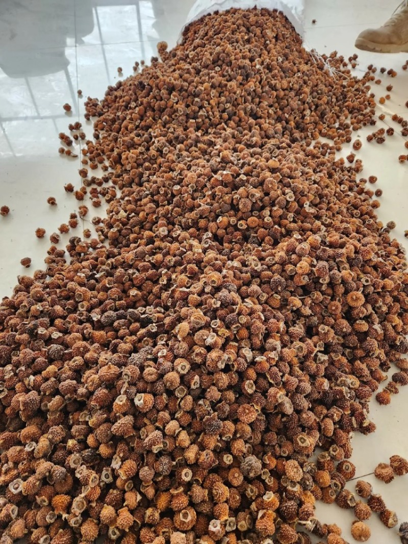 刺梨干果贵州刺梨干2024当季新货大量供应品质保证
