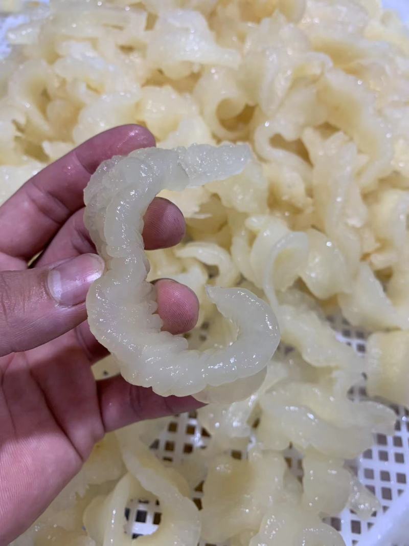 水发花胶条/凤尾条耐煮品质好量大从优