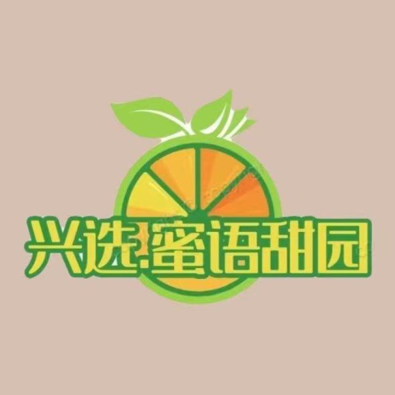 福建平和三红蜜柚鲜嫩多汁纯甜无渣无籽老人孕妇小孩水果