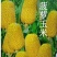 玉米