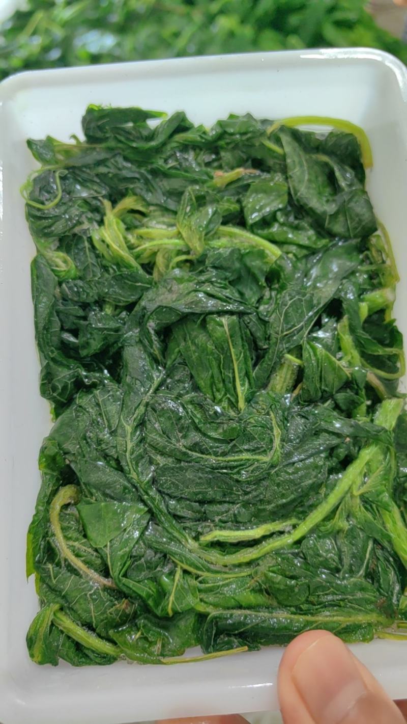 野苋菜小块速冻野苋菜食材餐饮宴席食材