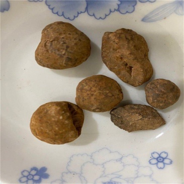 蛇含石中药材蛇黄蛇黄石正品蛇含石