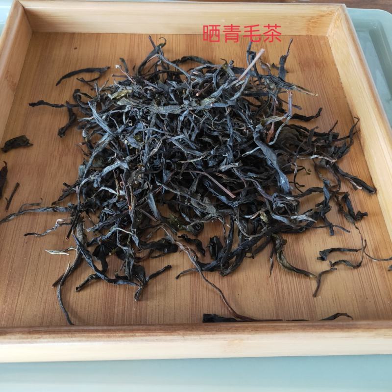 普洱茶