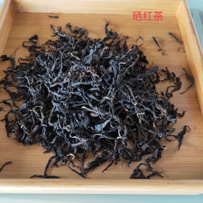 普洱茶