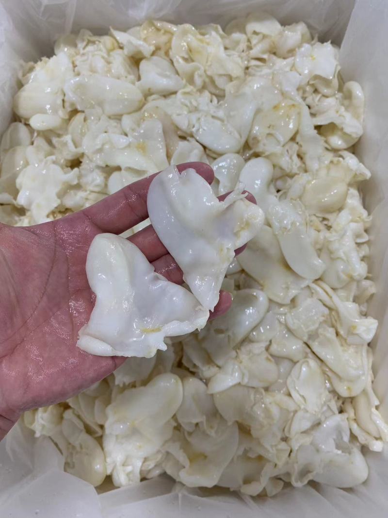 珍珠胶品质好自产自销批发零售皆可对接全国