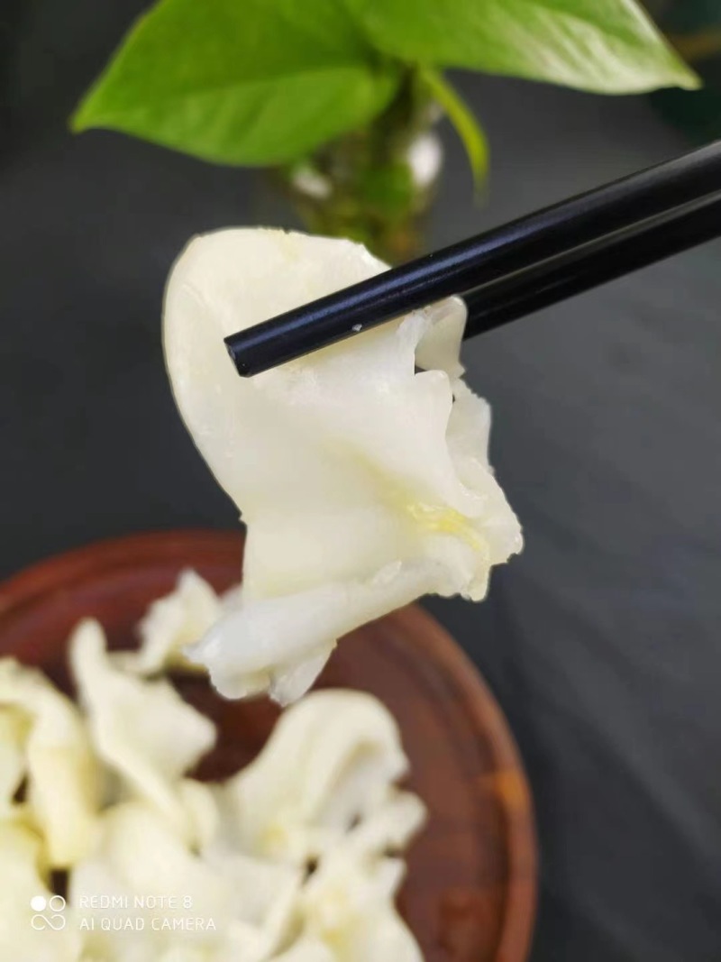 珍珠胶品质好自产自销批发零售皆可对接全国
