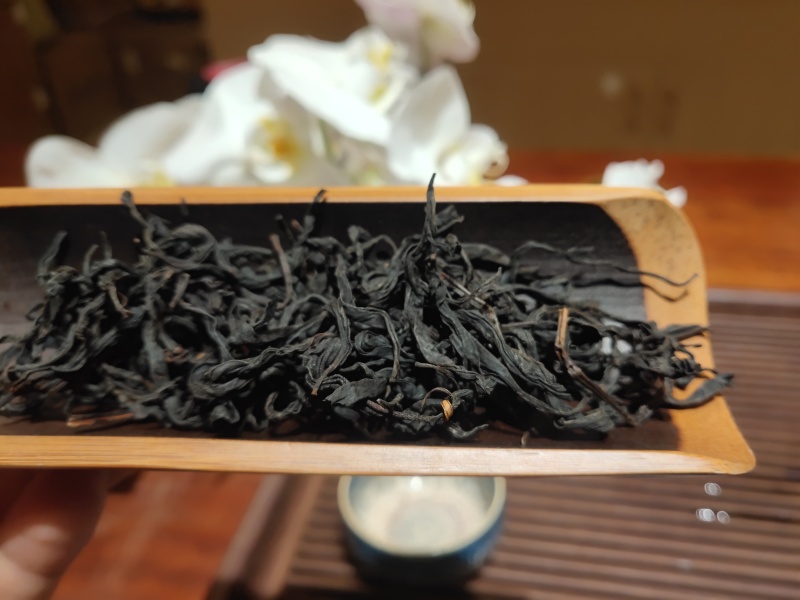 野生红