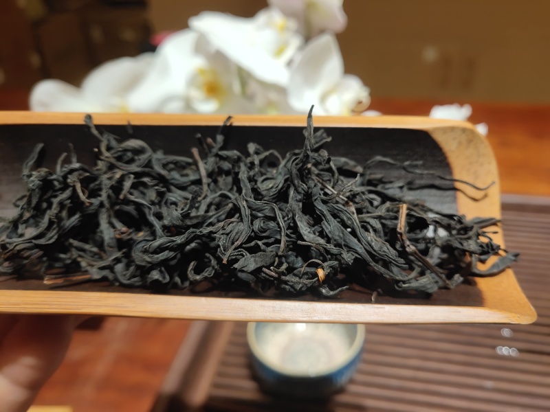 野生红