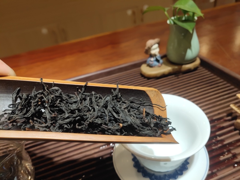 野生红
