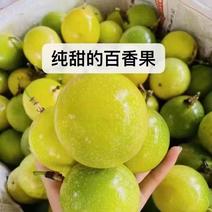 百香果大量上市，量大优惠，一件代发，欢迎新老客户前来合作