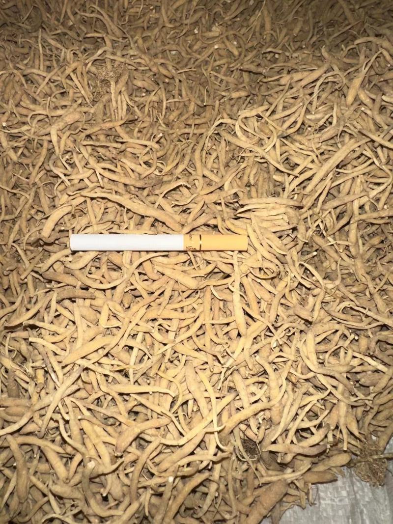 贵州太子参中药材产地直供量大电联欢迎咨询，量大电联