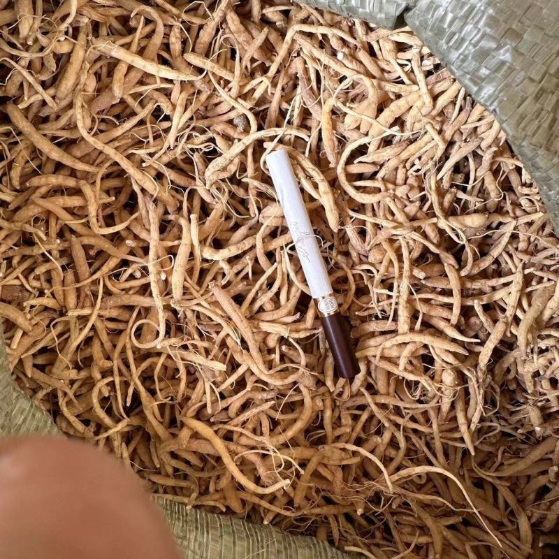 贵州太子参中药材产地直供量大电联欢迎咨询，量大电联