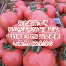 西红柿代卖山东寿光蔬菜批发市场代卖收费低售价高回款快！