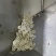 速冻藕片源头厂家适合大型餐饮连锁中央厨房欢迎来电
