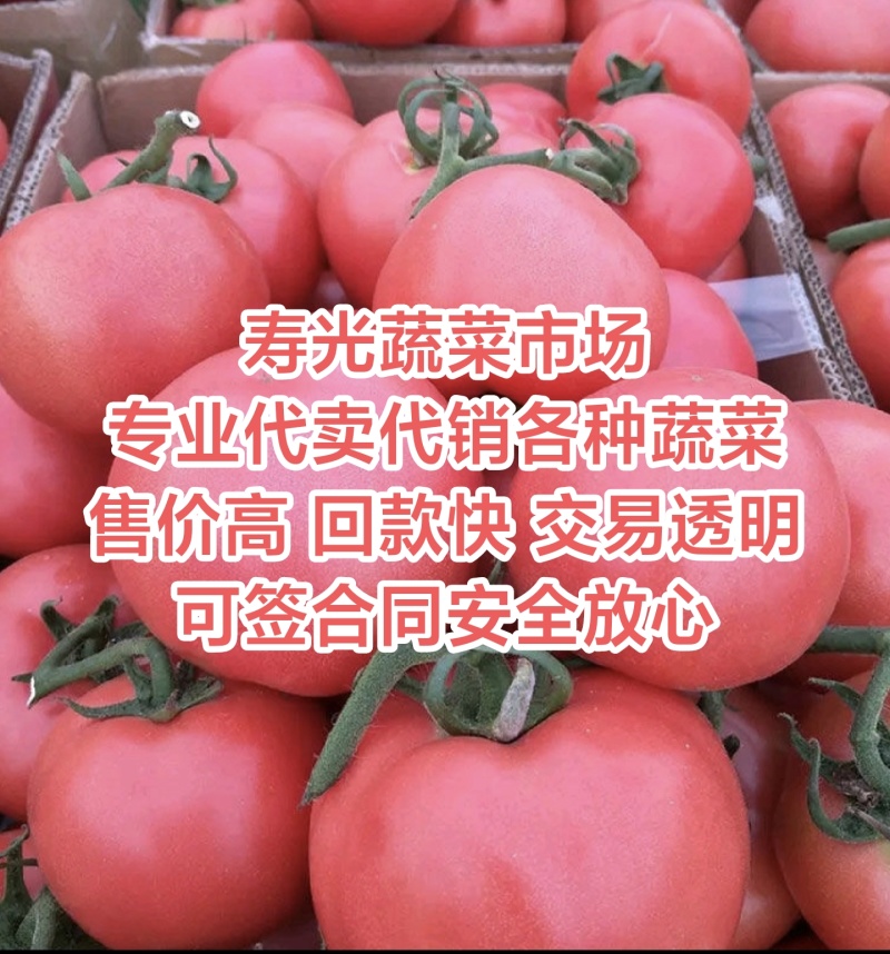 滞销蔬菜瓜果代销代卖欢迎基地农户合作共赢售价高交易透明