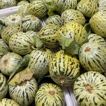 花美人【热卖中】甜，脆，对接电商，市场，超市，社团
