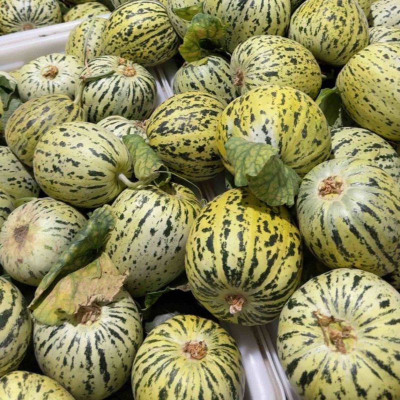 花美人【热卖中】甜，脆，对接电商，市场，超市，社团