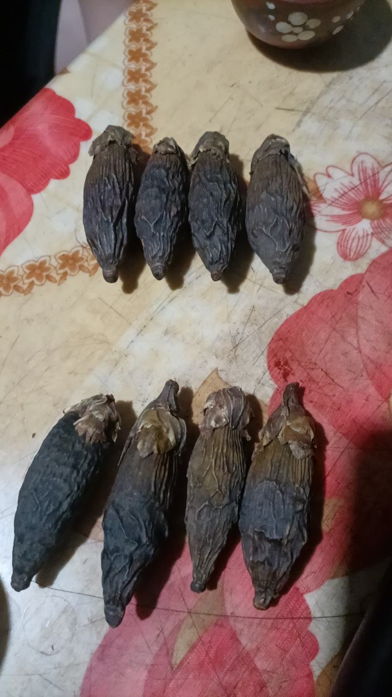 越南槟榔干果