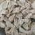 山药片怀山药片手工垆土怀山药片焦作铁棍山药片可代发