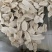 山药片怀山药片手工垆土怀山药片焦作铁棍山药片可代发