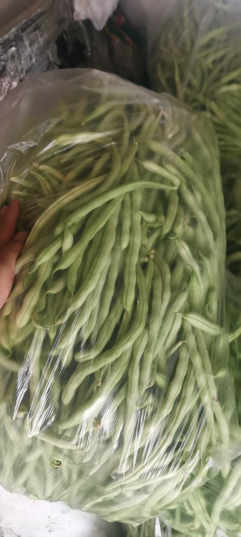 精品王中王白不老白芸豆