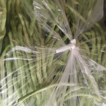 精品王中王白不老白芸豆