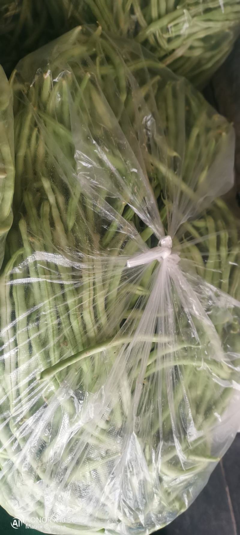 精品王中王白不老白芸豆
