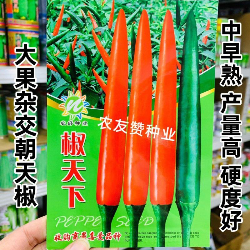 椒天下朝天椒种子大号单生朝天椒大果小米辣椒种子泰国进口