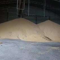 湖北仙桃翔麟烘干厂大量出手饲料玉米，1000公斤起售