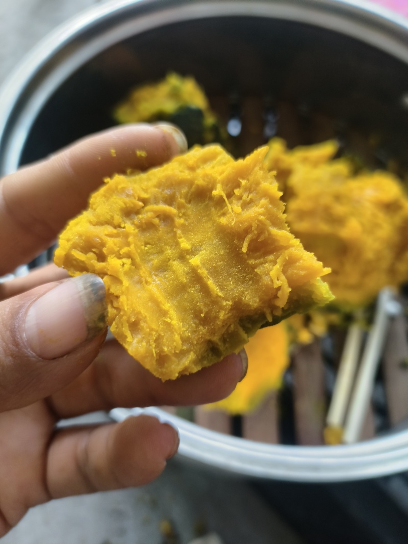 贝贝南瓜，爆分爆分贝贝南瓜