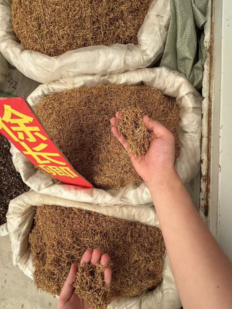 徐长卿中药材常年供应品质保障/量大优惠可零售全国包邮