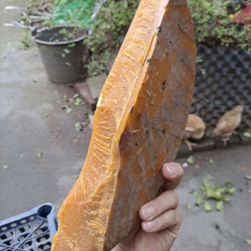 中药材蜂蜡土蜂蜡