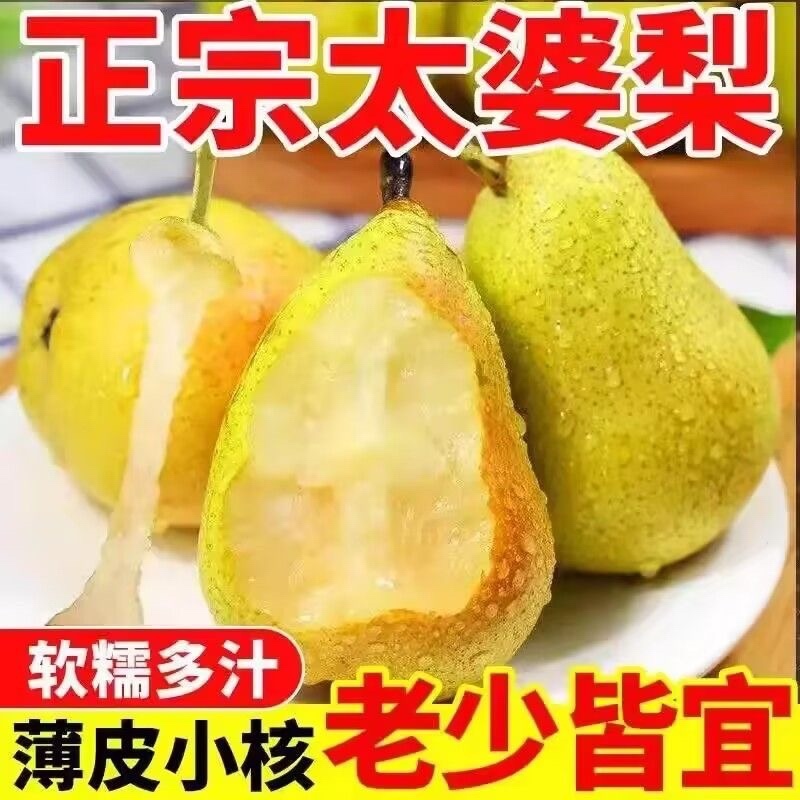 巴梨太婆梨薄皮丑梨大头梨茄子梨老婆梨
